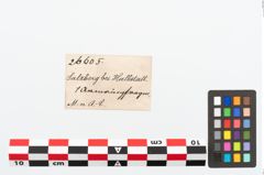 Etikett zu Bronzearmreif (NHMW-PRAE-026605)
